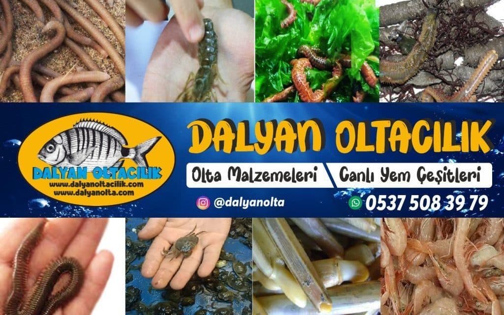 Canlı Boru Kurdu Uzmanından En Taze Av Garantisi!